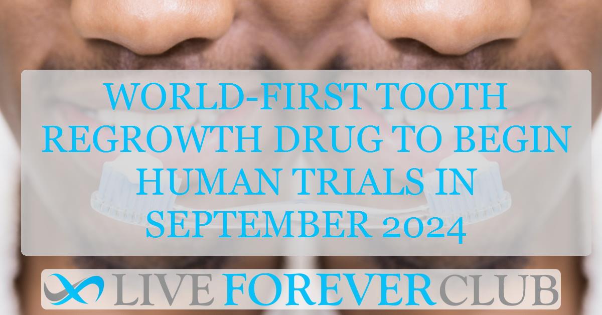 World-first tooth regrowth drug to begin human trials in September 2024