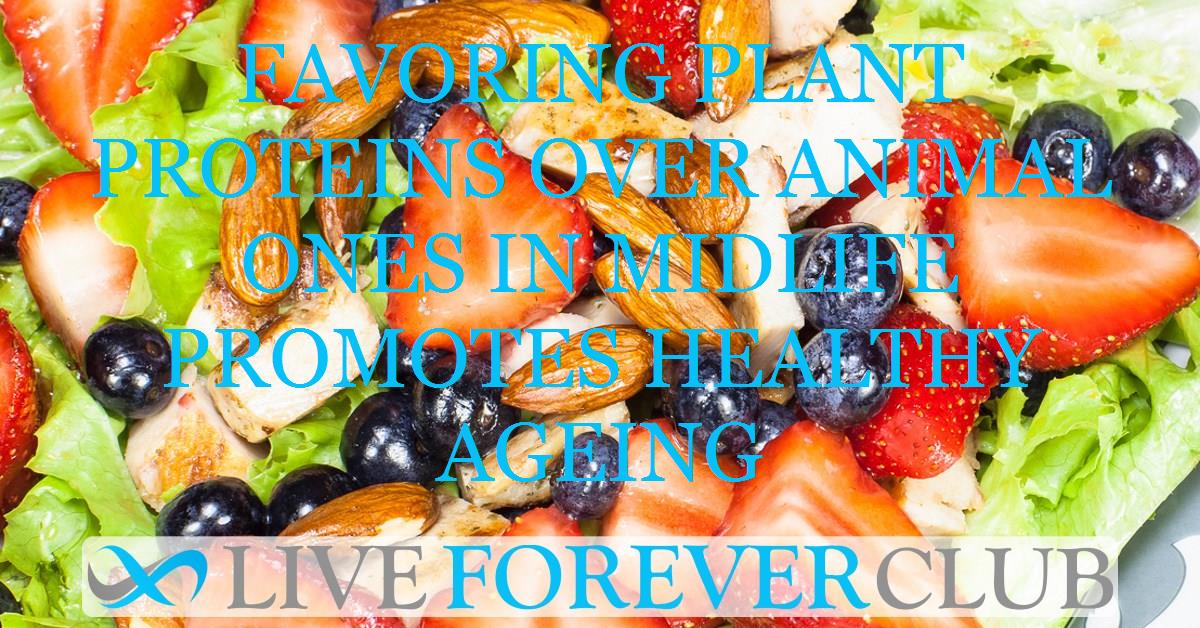 Favoring plant proteins over animal ones in midlife promotes healthy ageing
