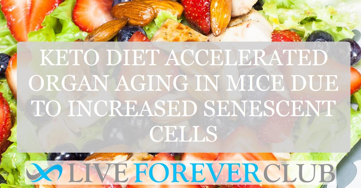 Keto diet accelerated organ aging in mice due to increased senescent cells