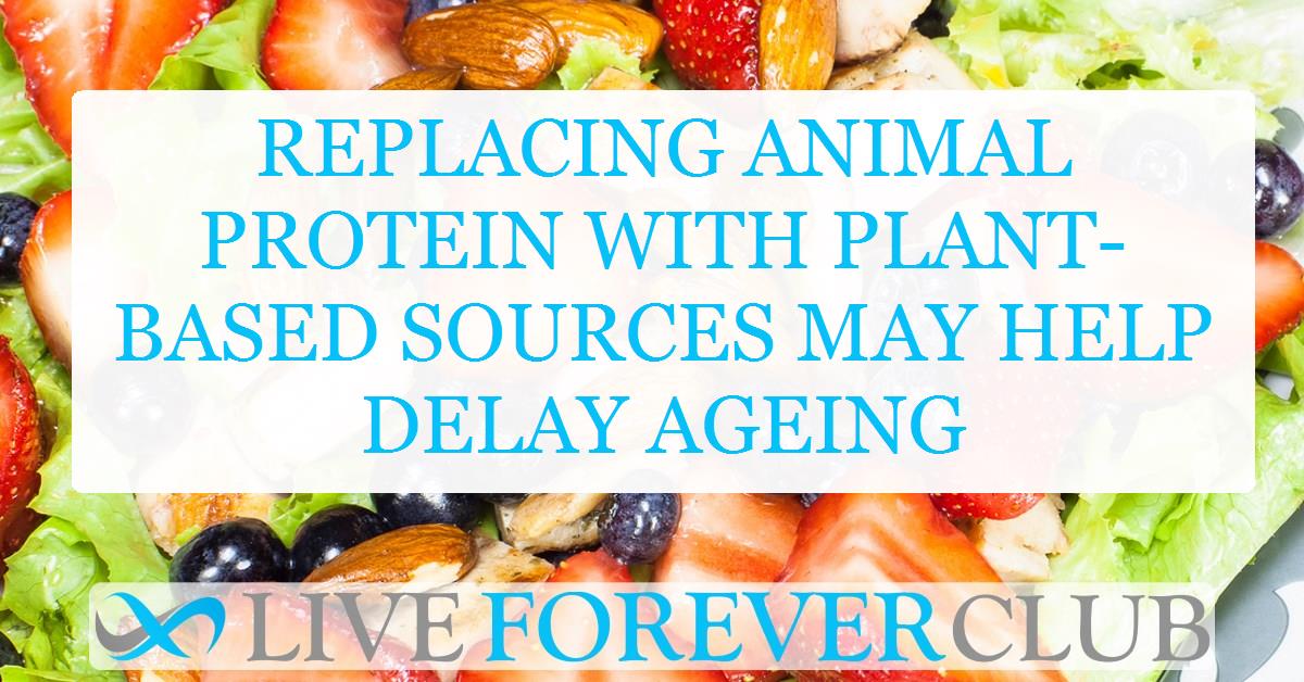 Replacing animal protein with plant-based sources may help delay ageing