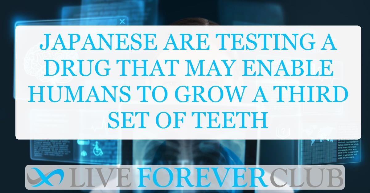 Japanese are testing a drug that may enable humans to grow a third set of teeth