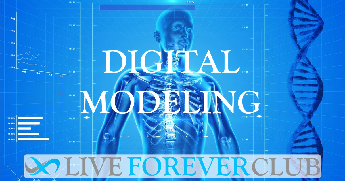 Digital Modeling