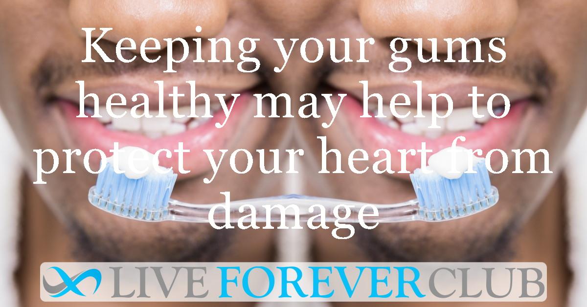 Keeping your gums healthy may help to protect your heart from damage