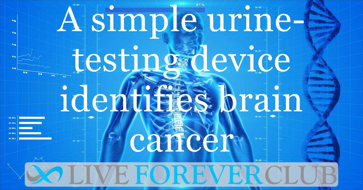 A simple urine-testing device identifies brain cancer, new study finds
