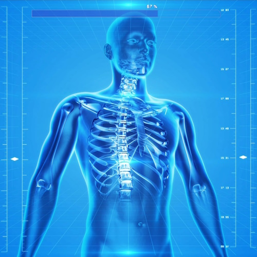 Virtual Bodies are Accelerating Research and Diagnostics