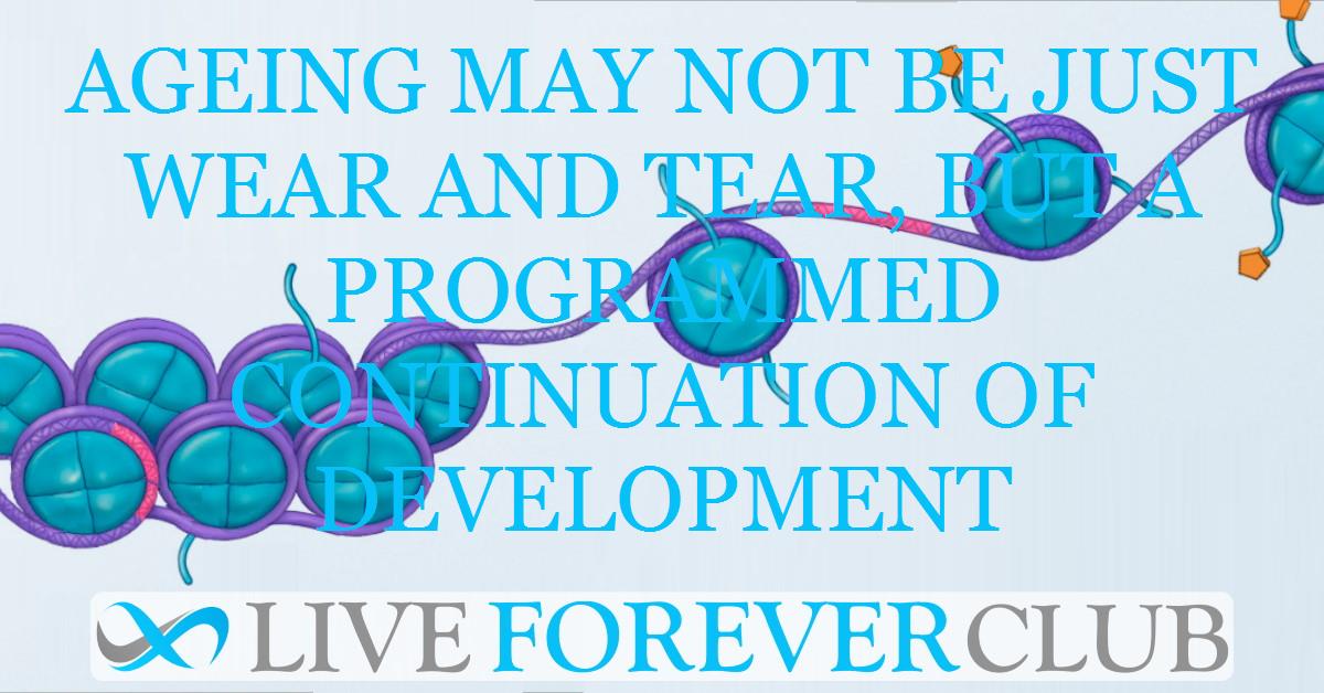 Ageing may not be just wear and tear, but a programmed continuation of development