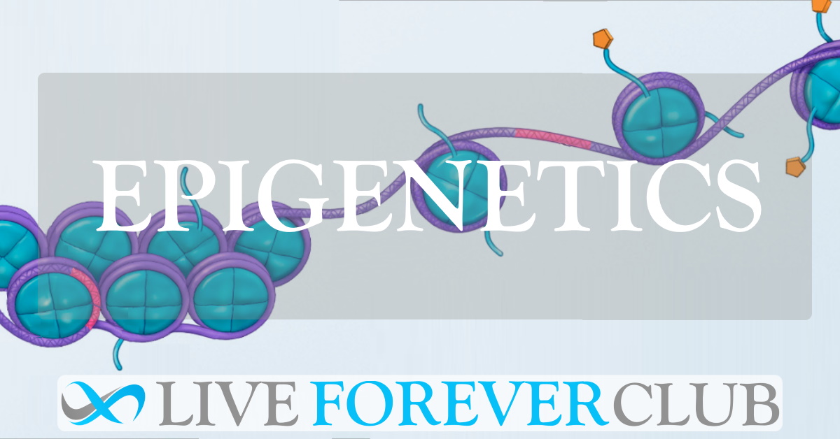 Epigenetics