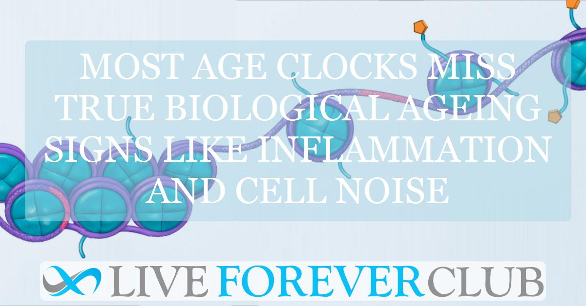Most age clocks miss true biological ageing signs like inflammation and cell noise