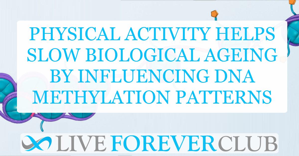 Physical activity helps slow biological ageing by influencing DNA methylation patterns
