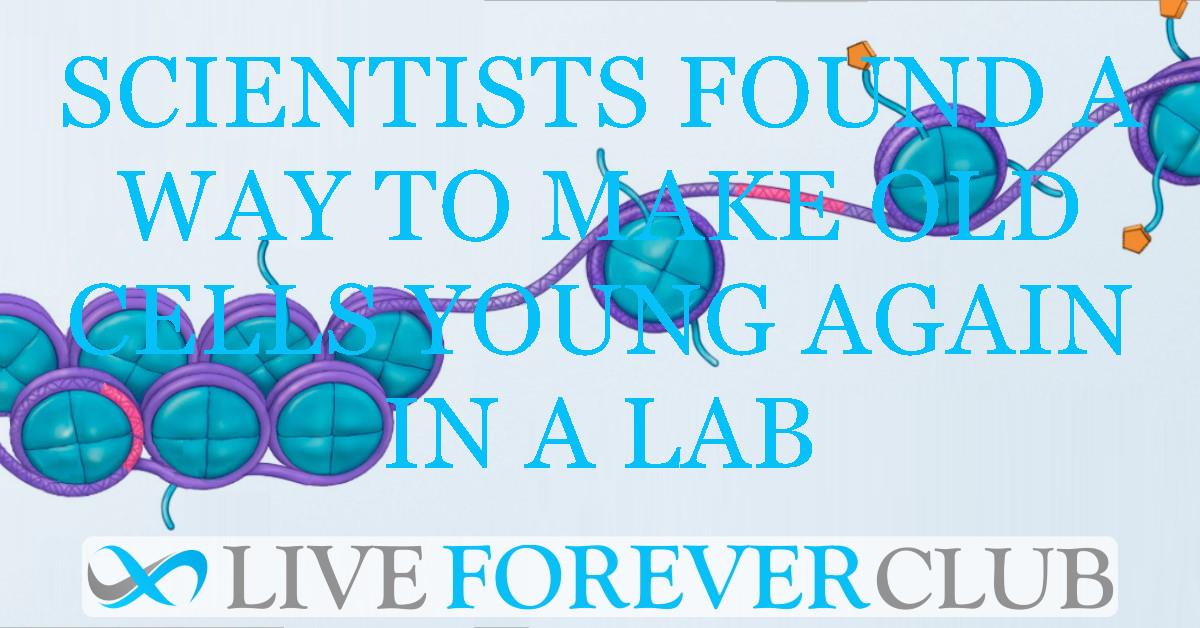 Scientists found a way to make old cells young again in a lab