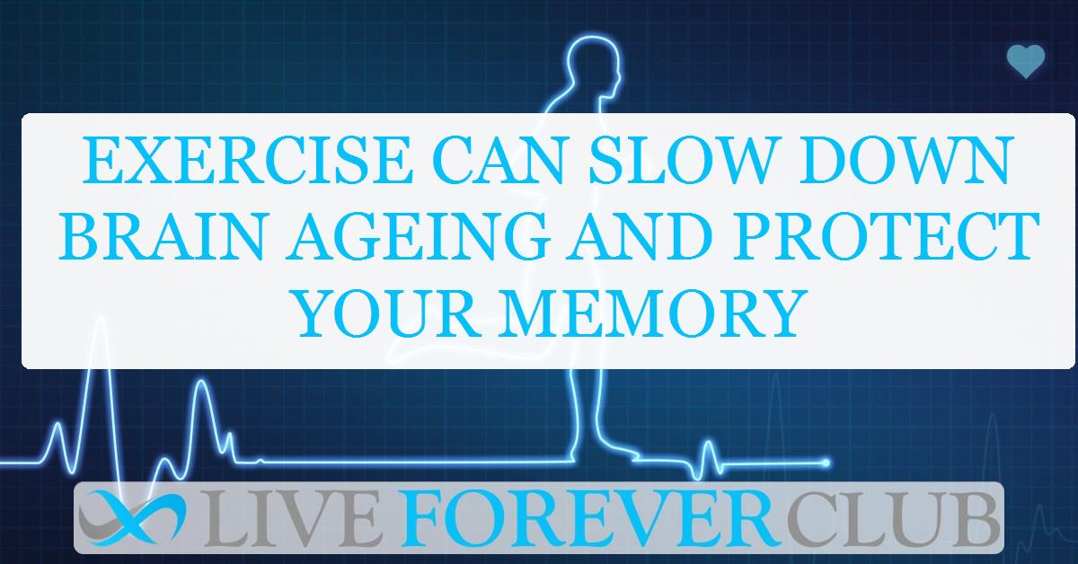 Exercise can slow down brain ageing and protect your memory