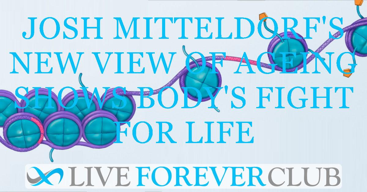 Josh Mitteldorf's new view of ageing shows body's fight for life
