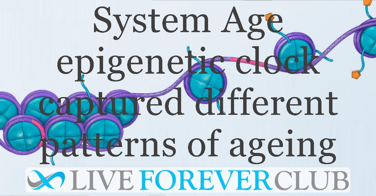 System Age epigenetic clock captured different patterns of ageing