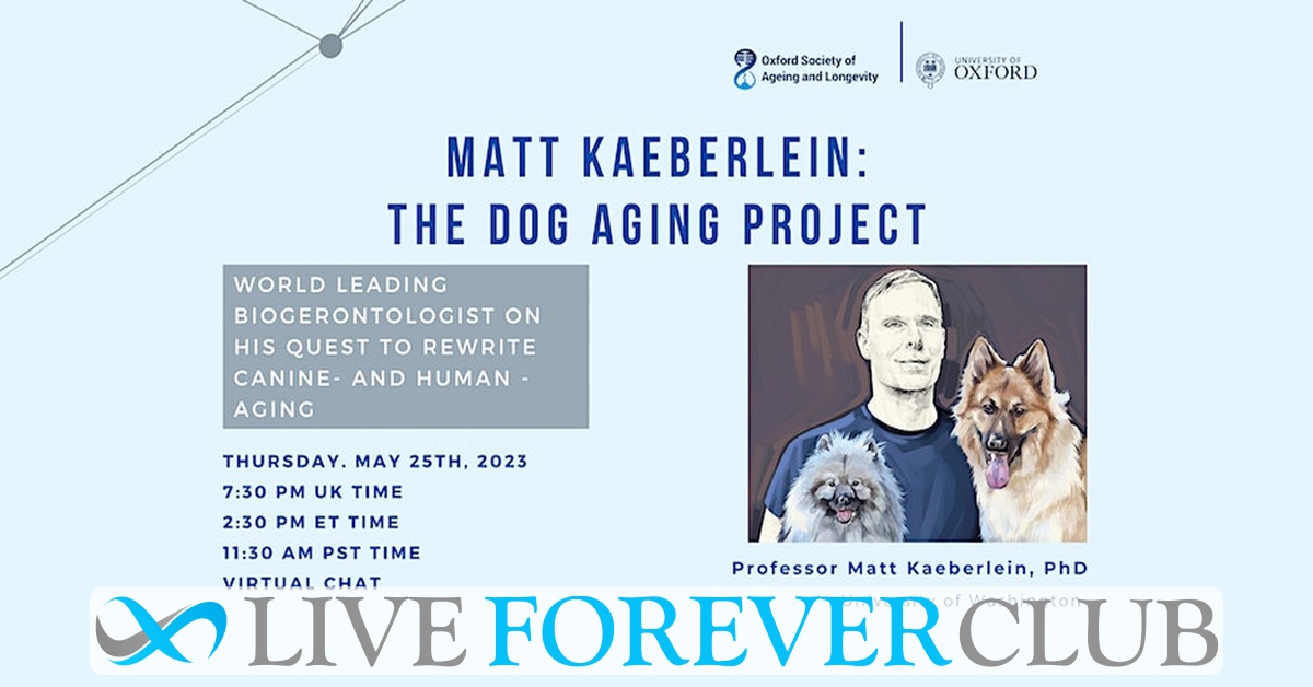 Decoding Aging In Dogs And Humans