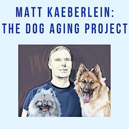 Decoding Aging in Dogs (and Humans!) information and news