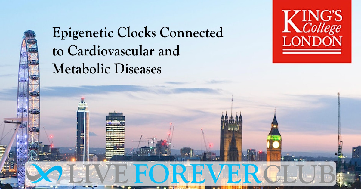 Clocks Connected to Cardiovascular and Metabolic Diseases
