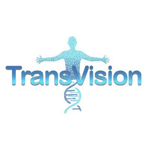 TransVision Madrid 2024 information and news