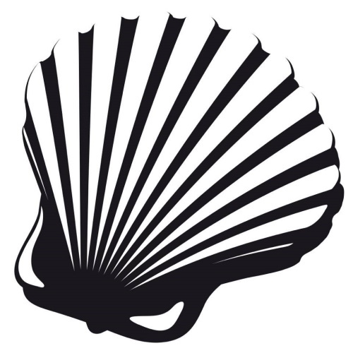 Will Exercise Slow the Rate that I’m Ageing? information and news