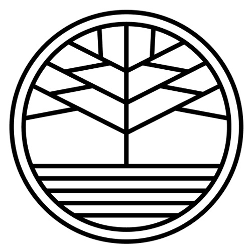 Vitalist Bay 2026 information and news