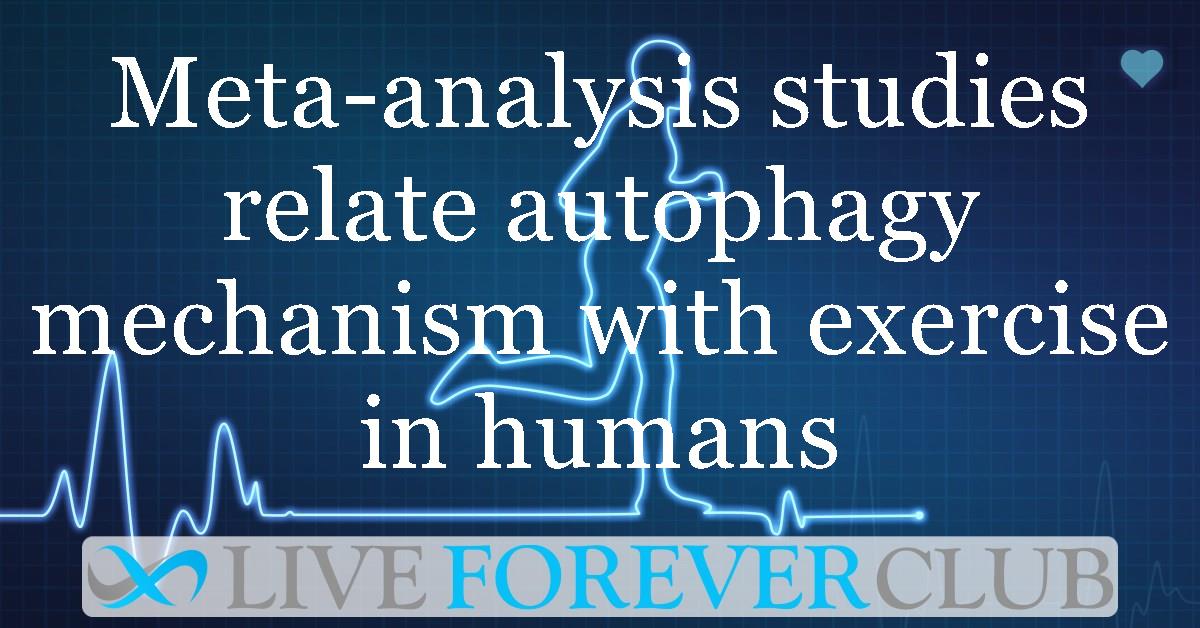 Meta-analysis studies relate autophagy mechanism with exercise in humans