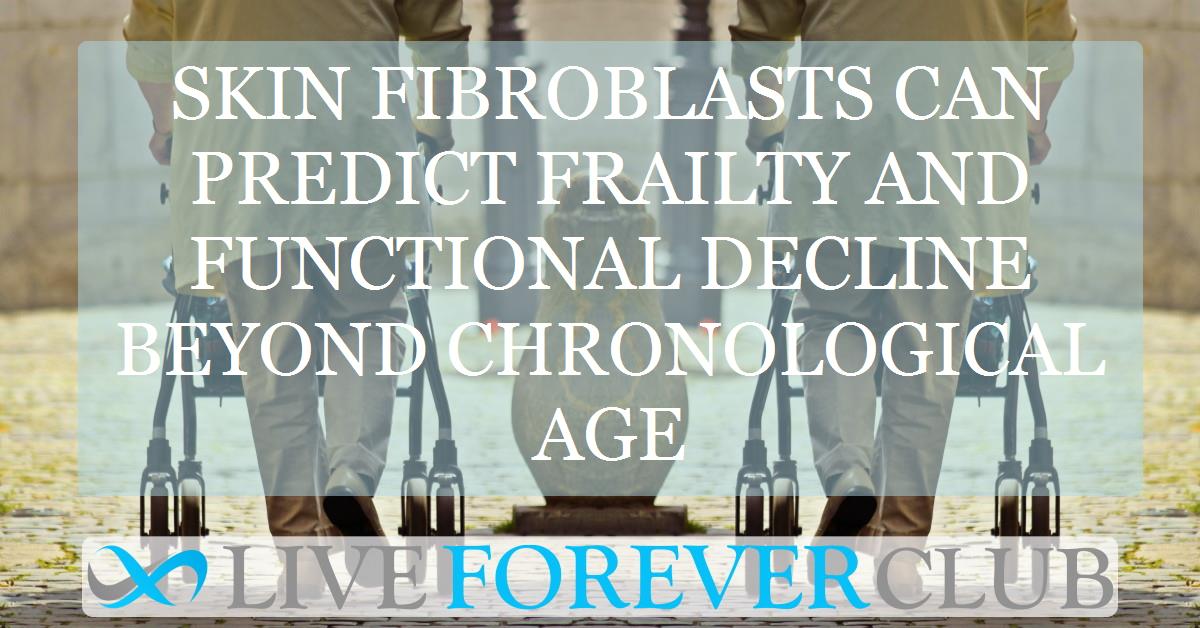 Skin fibroblasts can predict frailty and functional decline beyond chronological age