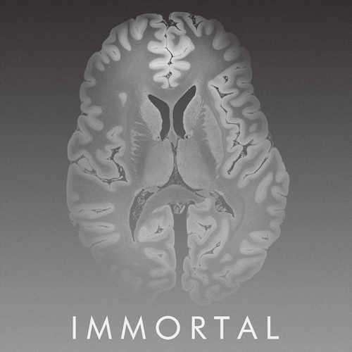 Immortal information and news