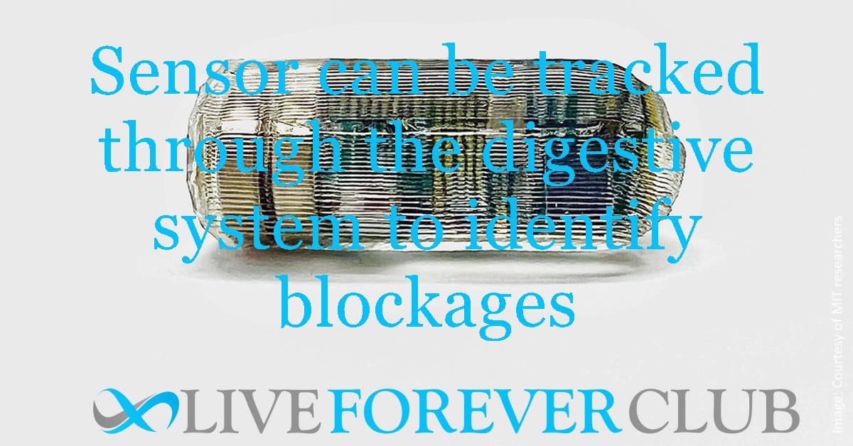 Sensor can be tracked through the digestive system to identify blockages