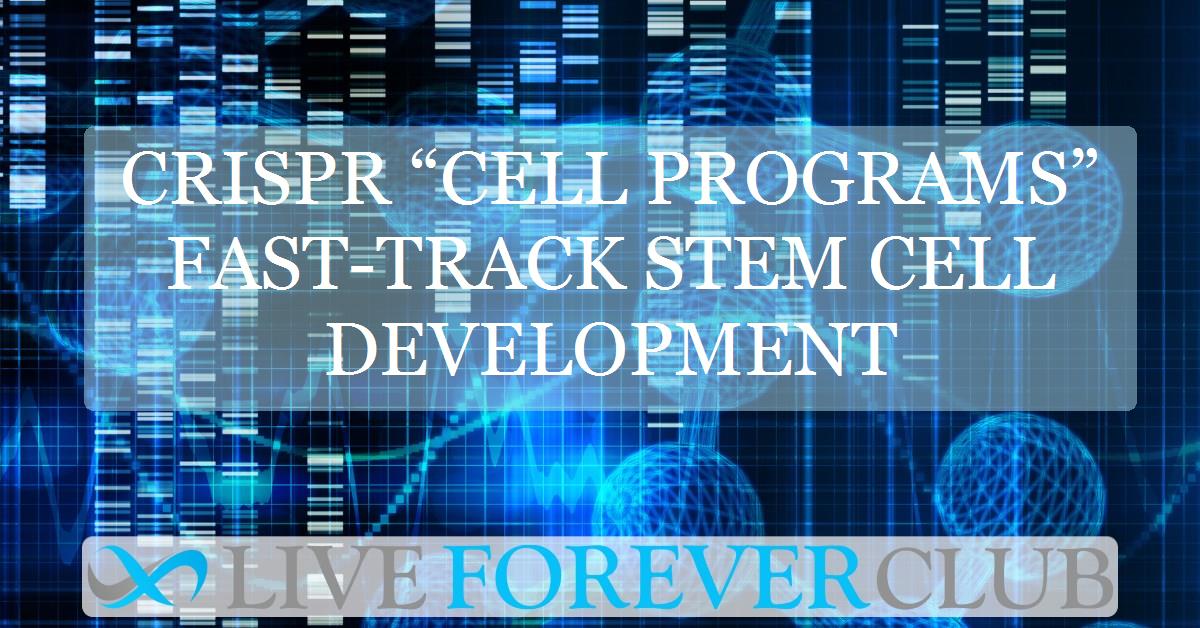 CRISPR “cell programs” fast-track stem cell development