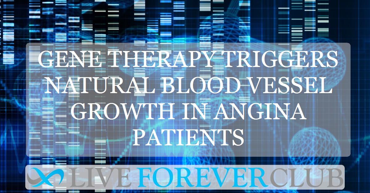 Gene therapy triggers natural blood vessel growth in angina patients