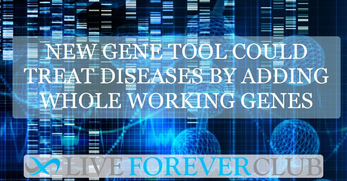 New gene tool could treat diseases by adding whole working genes