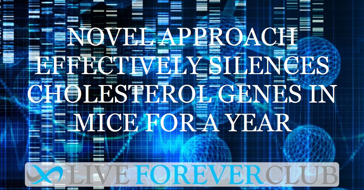 Novel approach effectively silences cholesterol genes in mice for a year