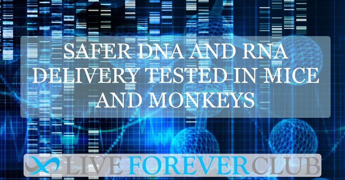 Safer DNA and RNA delivery tested in mice and monkeys