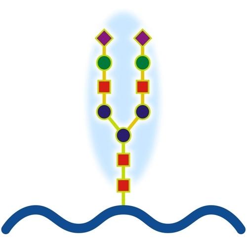 More Glycobiology information, news and resources