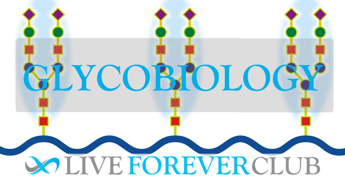 Glycobiology