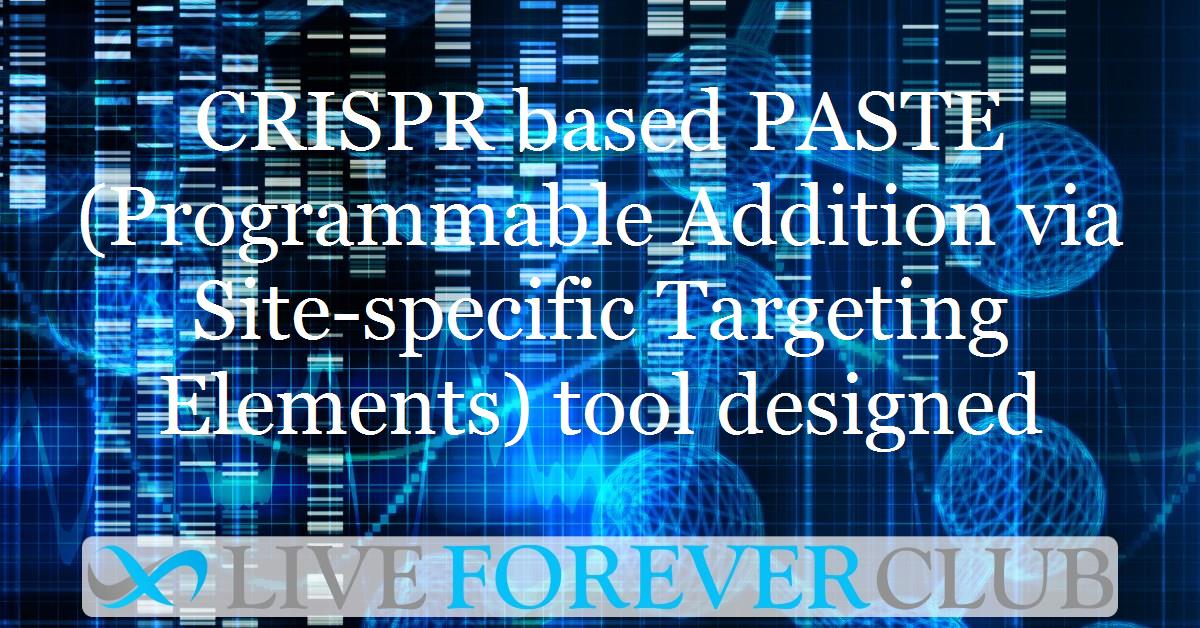 CRISPR based PASTE (Programmable Addition via Site-specific Targeting Elements) tool designed