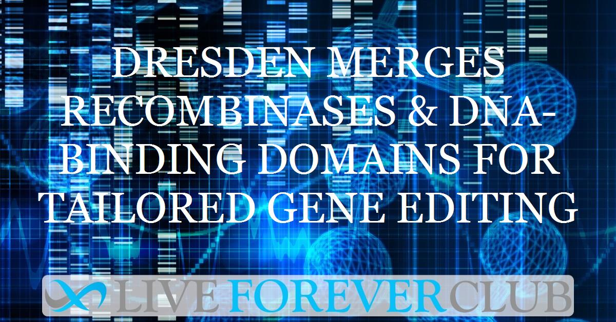 Dresden merges recombinases & DNA-binding domains for tailored gene editing