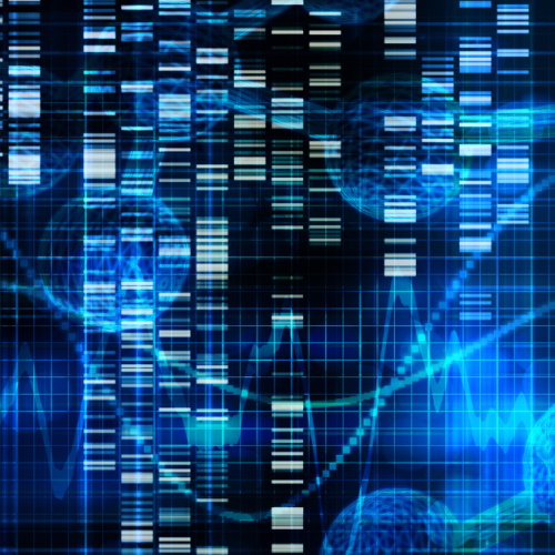 A potential therapy for blinding retinal diseases