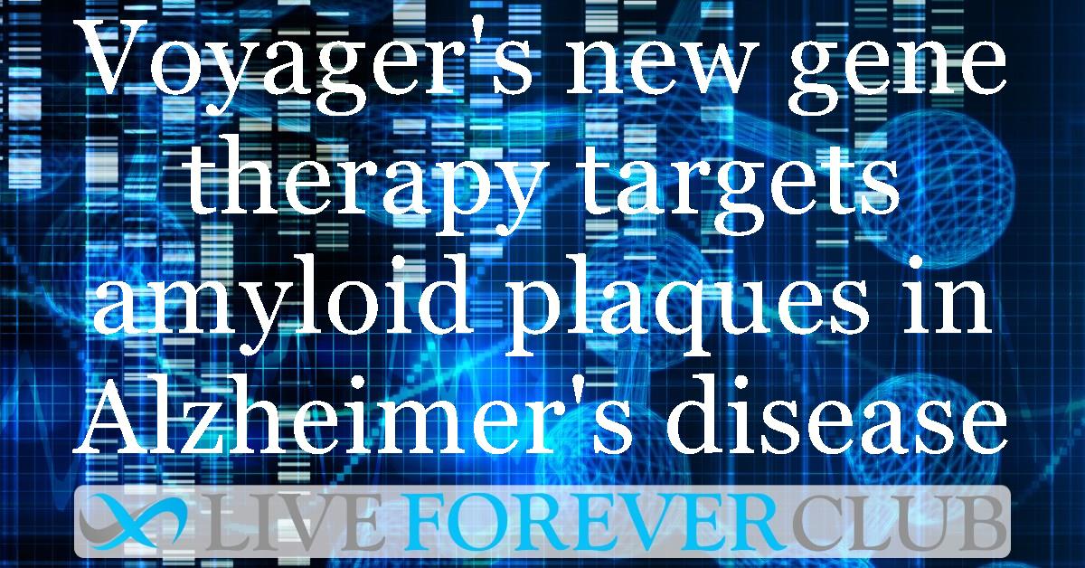 Voyager's new gene therapy targets amyloid plaques in Alzheimer's disease
