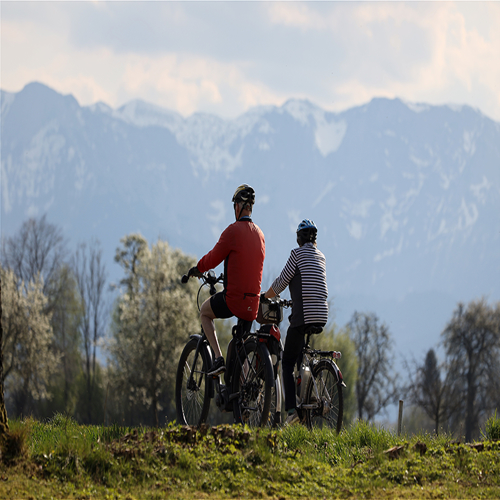 More Healthy Ageing information, news and resources
