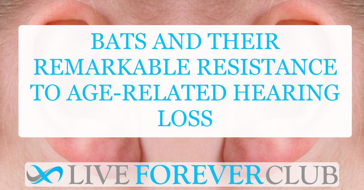 Bats and their remarkable resistance to age-related hearing loss