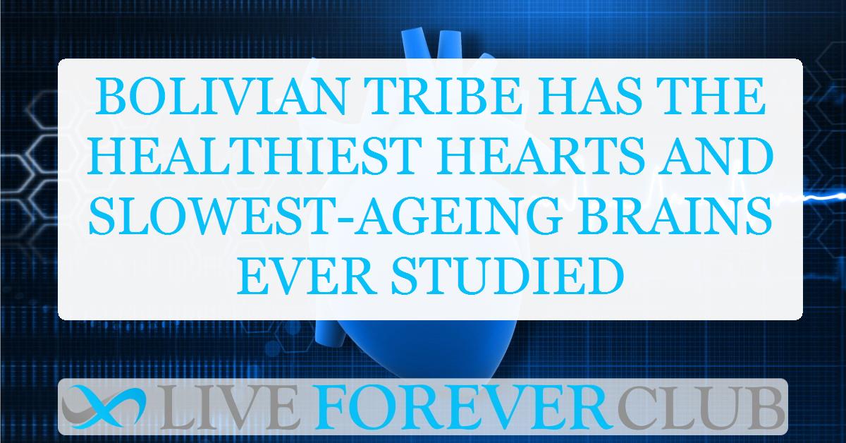 Bolivian tribe has the healthiest hearts and slowest-ageing brains ever studied