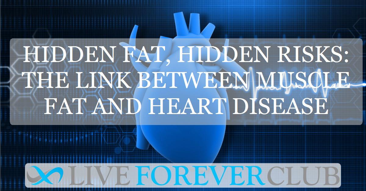 Hidden fat, hidden risks: the link between muscle fat and heart disease