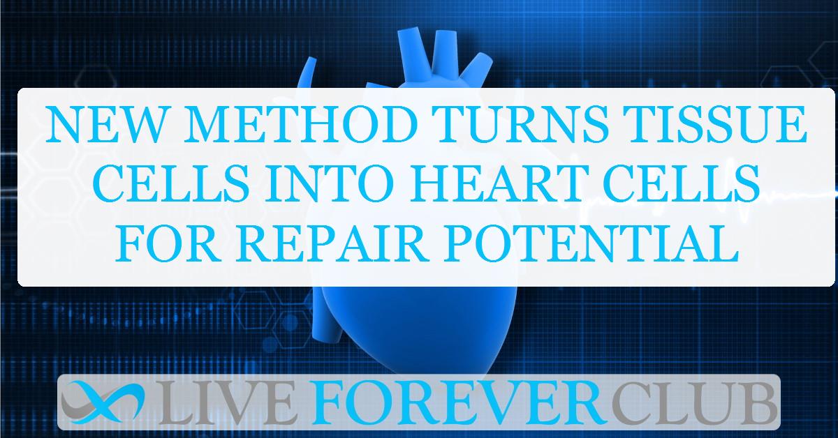 New method turns tissue cells into heart cells for repair potential