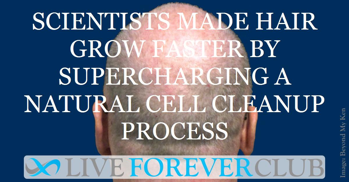 Scientists made hair grow faster by supercharging a natural cell cleanup process