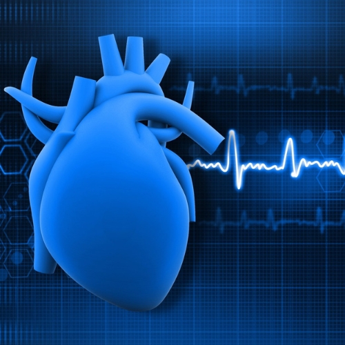 More Heart Disease information, news and resources