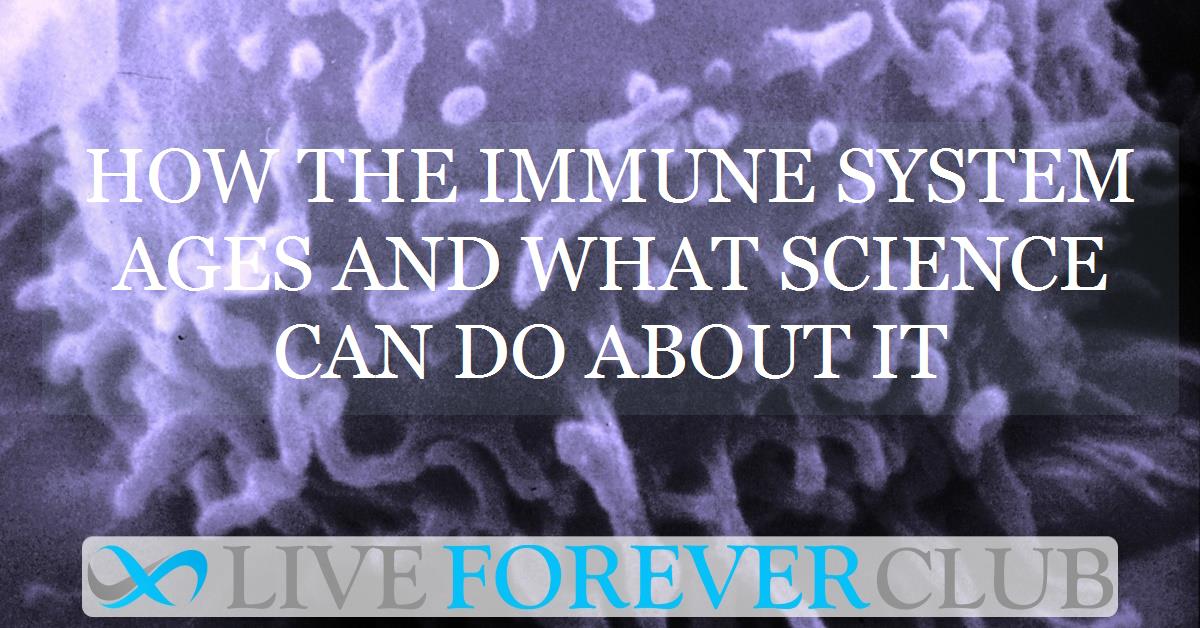 How the immune system ages and what science can do about it