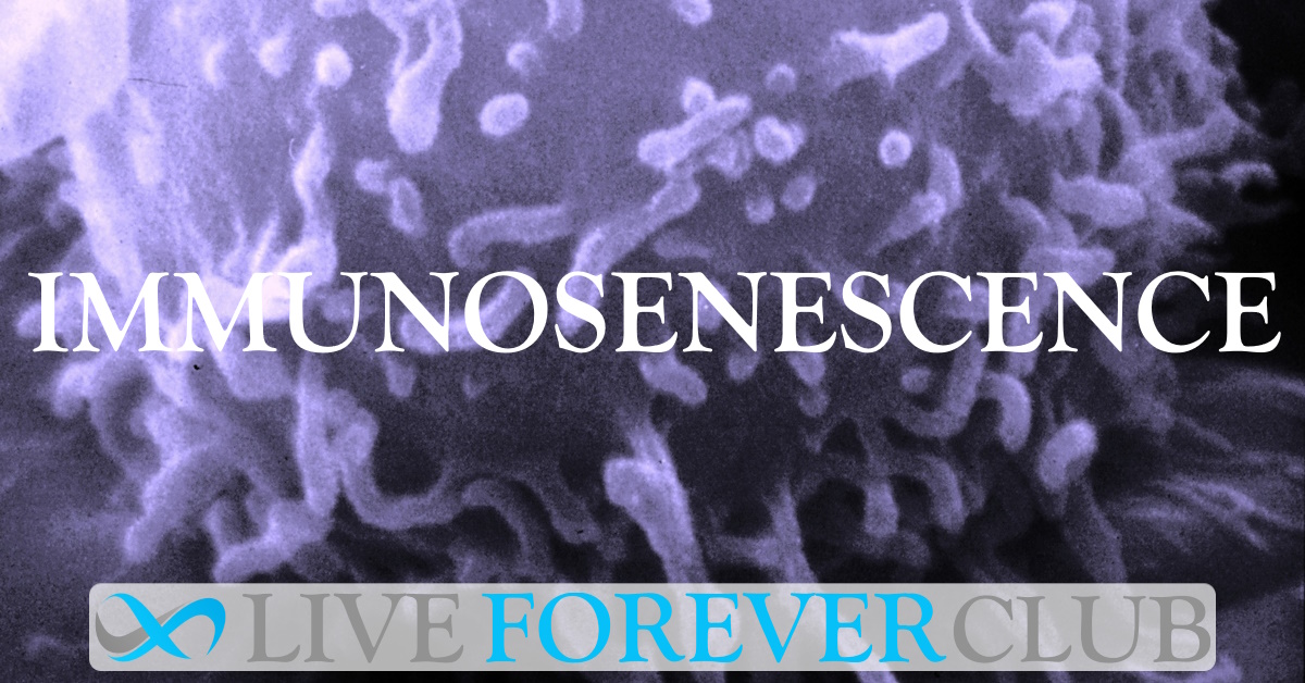 Immunosenescence