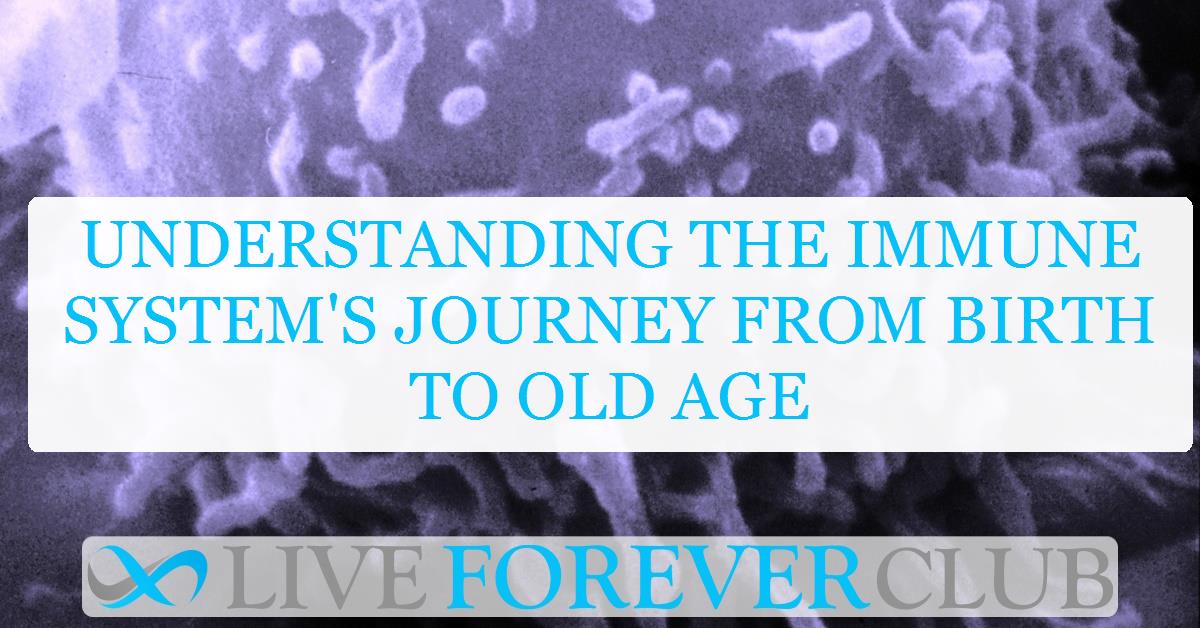 Understanding the immune system's journey from birth to old age