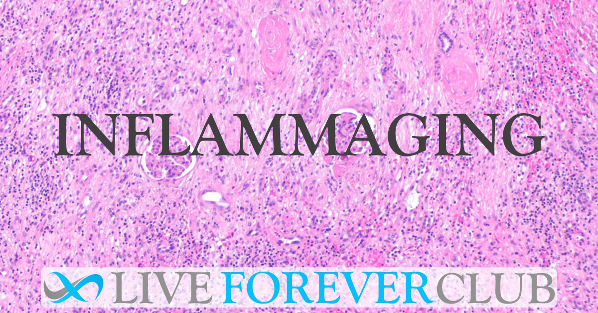 Inflammaging