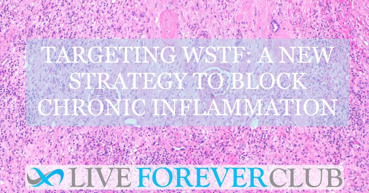 Targeting WSTF: A new strategy to block chronic inflammation